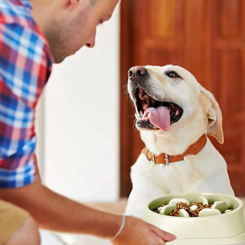 Alimentador Lento para Perros,Forreen 2 Piezas Comedero Perro Antivoracidad Antideslizante Interactivo Saludable Alimentador alimentador Lento para Mascotas para Evitar Ahogo Comer Demasiado