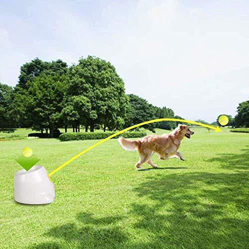 ALL FOR PAWS Hyperfetch Ultimate Lanzador de bolas automático interactivo juguete para perro, máquina de lanzar pelotas de tenis para entrenamiento de perros, 3 bolas incluidas (mini estilo)