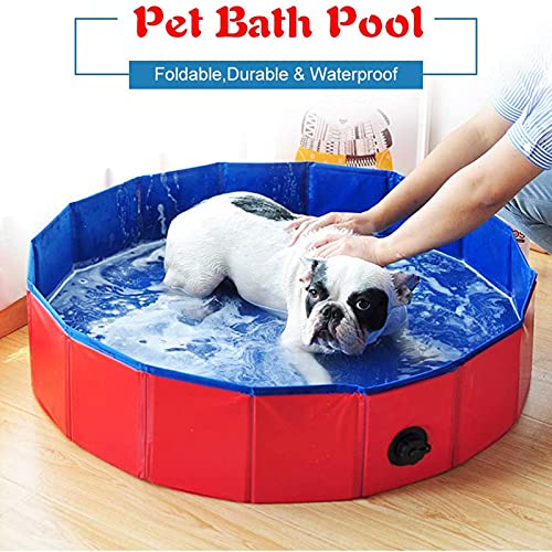 ALLWIN Piscina Plegable de plástico Duro Extra Grande para Perros, Mascotas, Piscinas para Perros, Piscinas para Mascotas, bañera, Piscina Infantil para Mascotas Grandes, Perros, Gatos (60 × 20 cm)