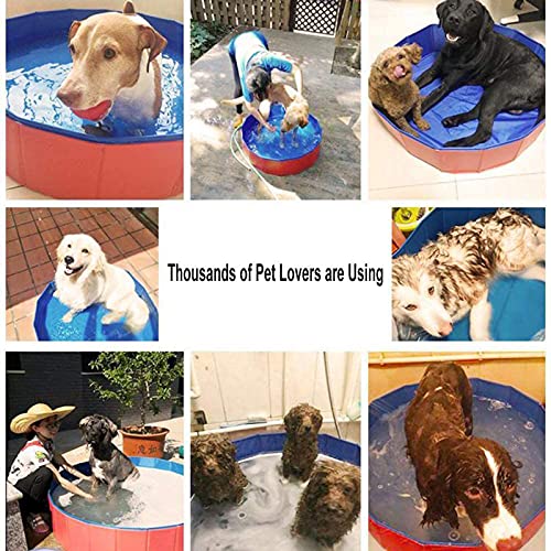 ALLWIN Piscina Plegable de plástico Duro Extra Grande para Perros, Mascotas, Piscinas para Perros, Piscinas para Mascotas, bañera, Piscina Infantil para Mascotas Grandes, Perros, Gatos (60 × 20 cm)