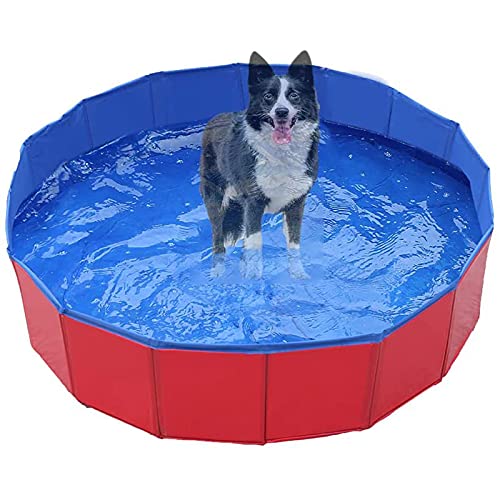 ALLWIN Piscina Plegable de plástico Duro Extra Grande para Perros, Mascotas, Piscinas para Perros, Piscinas para Mascotas, bañera, Piscina Infantil para Mascotas Grandes, Perros, Gatos (60 × 20 cm)