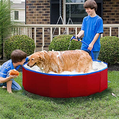 ALLWIN Piscina Plegable de plástico Duro Extra Grande para Perros, Mascotas, Piscinas para Perros, Piscinas para Mascotas, bañera, Piscina Infantil para Mascotas Grandes, Perros, Gatos (60 × 20 cm)