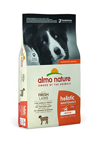 almo nature Pienso para Perros Holistic Dry Lamb (12 kg). Alimento para Perros Seco Alto en Proteínas para Razas Medianas con Sabor a Cordero Fresco. Comida Seca de Fácil Digestión