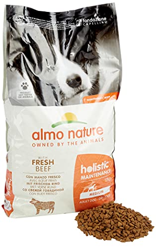 Almo Nature Pienso para Perros Medianos Holistic Dry Buey (12 kg). Alimento para Perros Seco Alto en Proteínas para Razas Medianas con Sabor a Carne Fresca. Comida Seca de Fácil Digestión