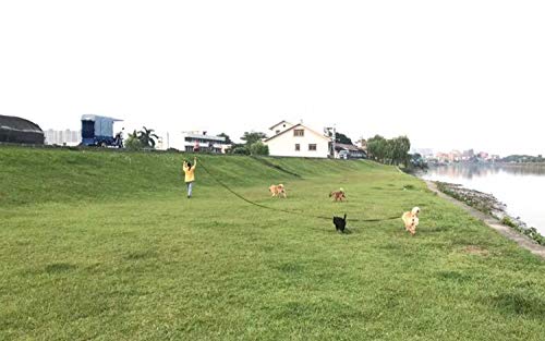 AmaGood Correa de entrenamiento para perros y cachorros, agilidad de entrenamiento, 15 m, 20 pies, 30 pies y 50 pies de largo, para entrenamiento de perros (15 m), color azul