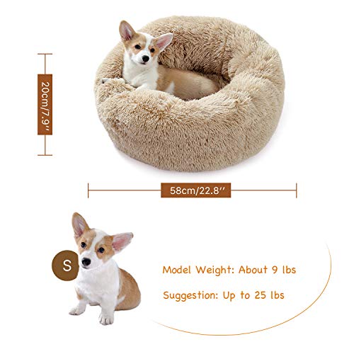 Amazon Brand – Umi Cama de Perro de Felpa Suave y cálida Donut Cama para Perro Cama para Dormir mullida sofá para Mascotas de Varios tamaños para Perros pequeños medianos Lavable a máquina Beige S