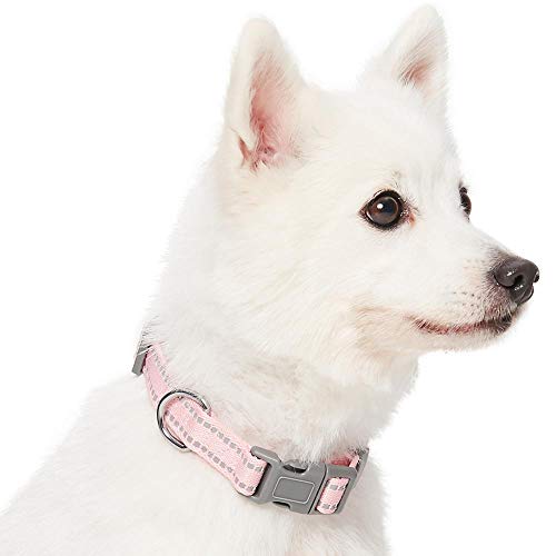 Amazon Brand - Umi Pastel - Collar para Perros L, Cuello 45-66 cm, Collares Ajustables para Perros (Rosa bebé)