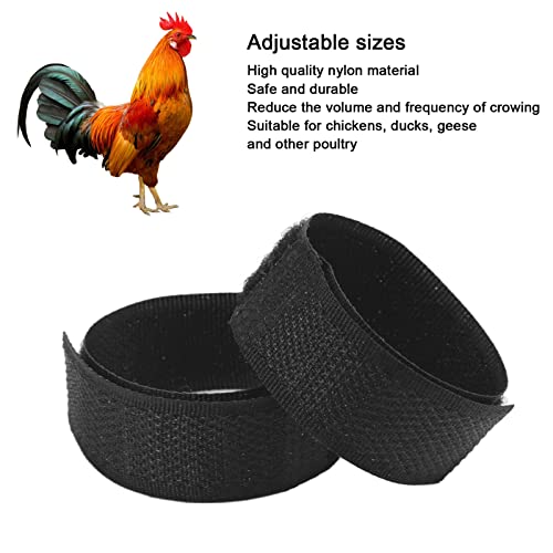 AMONIDA Banda para el Cuello de Pollo, Cinturón de Cuello de Pollo Anti Gancho No Cruel para los Gallos Gallo(Negro, Párrafo Ordinario)