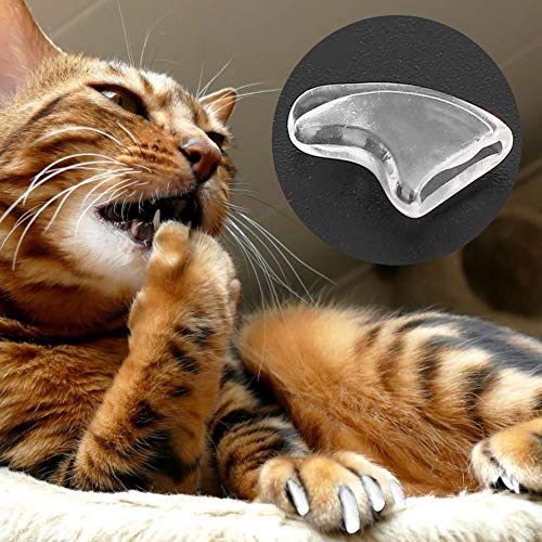 AMONIDA Safe Pet Cat Nail Cap Cover Anti Scratch (Black XS) Cubierta de uñas, Pata de Perro(Ice White, XS)