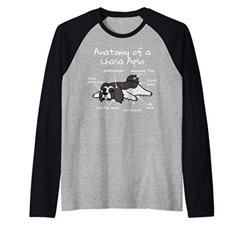 Anatomy Of A Lhasa Apso Perro Camiseta Manga Raglan