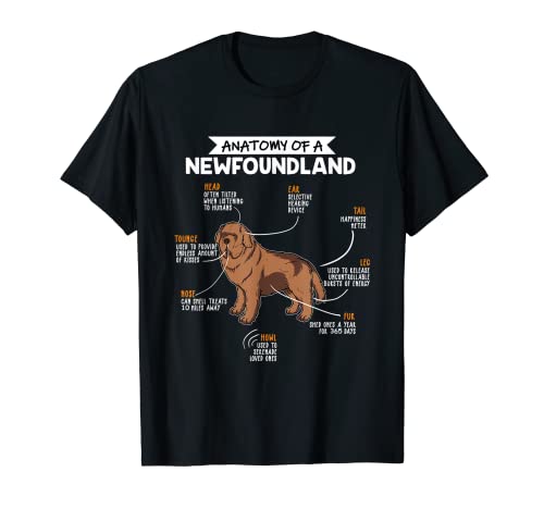 Anatomy Of A Newfoundland Dog Regalo Terranova Perro Camiseta