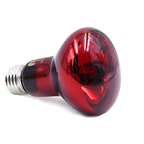 ANCLLO 2 bombillas de calefacción para reptiles, lámpara de calor infrarroja duradera, bombilla de luz de calentamiento, luz roja para mascotas para reptiles y lagartos anfibios, 220-240 V (50 W)