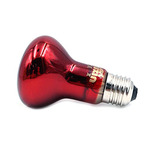 ANCLLO 2 bombillas de calefacción para reptiles, lámpara de calor infrarroja duradera, bombilla de luz de calentamiento, luz roja para mascotas para reptiles y lagartos anfibios, 220-240 V (25 W)