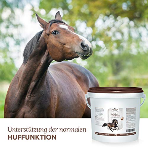 AniForte Hoof Acute Natural Product for Horses 1kg - alimento mineral natural - rico en vitaminas, hierbas y sustancias vitales, apoya la función vital de los cascos y el sistema locomotor