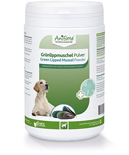 AniForte Polvo de mejillón de labios verdes para perros 500g – Polvo natural de mejillones de labios verdes de calidad grasa, glicosaminoglicanos 3.3%, apoya las articulaciones