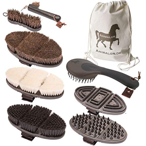 Animalon Deluxe Set | Cepillos de caballo en un set | palo de caballo, rascador de cascos, cepillo de pelo de caballo, cepillo para brillar, cepillo de aseo | Profesional de aseo Perde