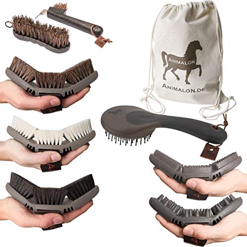 Animalon Deluxe Set | Cepillos de caballo en un set | palo de caballo, rascador de cascos, cepillo de pelo de caballo, cepillo para brillar, cepillo de aseo | Profesional de aseo Perde