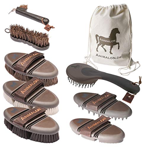 Animalon Deluxe Set | Cepillos de caballo en un set | palo de caballo, rascador de cascos, cepillo de pelo de caballo, cepillo para brillar, cepillo de aseo | Profesional de aseo Perde