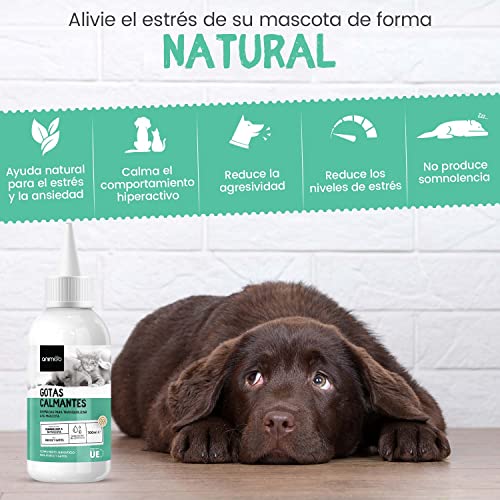 Animigo Gotas Calmantes para Gatos y Perros. Relajante Natural No Somnífero. para Estrés, Ansiedad por Separación, Viajes y Ruidos Fuertes. con Aminoácidos, Vitaminas y Minerales. Gotero 100ml