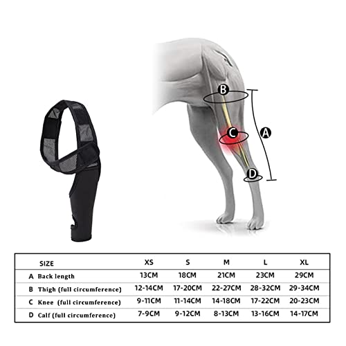 Anjing Apoyo para la pierna del perro, almohadillas protectoras para perros pequeños y gatos de apoyo al hígroma, displasia de hombro, osteoartritis, callos de codo y dislocación del hombro (M)