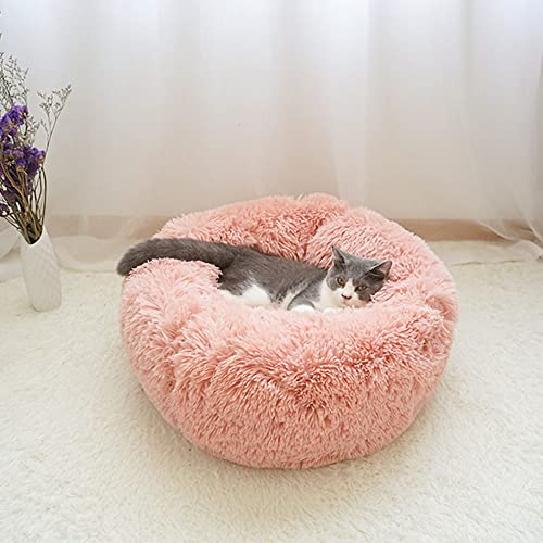 Aoresac Cama Perro Gato Grande Pequeño, Cama Mascota Redonda Cálido Felpa, Sofá Cojin Suave Cachorro Animales Domésticos Invierno, 40/50/60/70/80/100/120 CM (2XL, Champán)