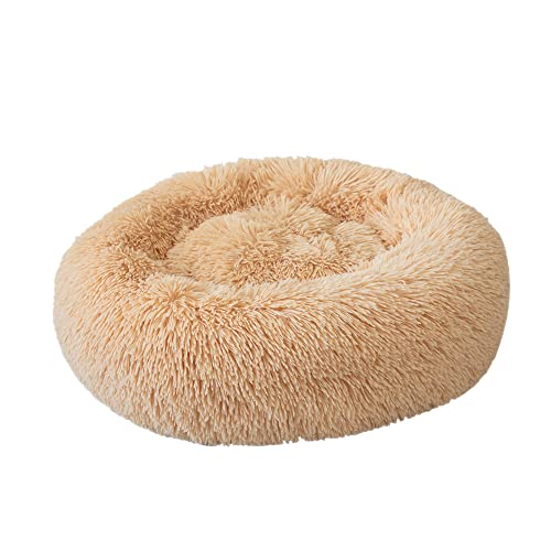 Aoresac Cama Perro Gato Grande Pequeño, Cama Mascota Redonda Cálido Felpa, Sofá Cojin Suave Cachorro Animales Domésticos Invierno, 40/50/60/70/80/100/120 CM (2XL, Champán)