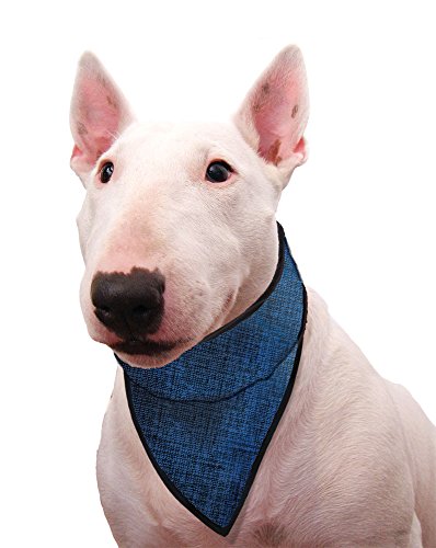 Aqua Coolkeeper Bandana - Blu - XL