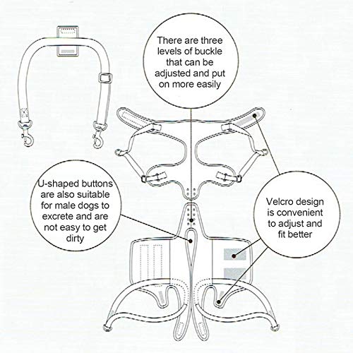 Arnés de elevación para perros, soporte para patas de mascotas y chaleco de rehabilitación, correas acolchadas ajustables para personas mayores, lesiones en las articulaciones, artritis, pérdida de