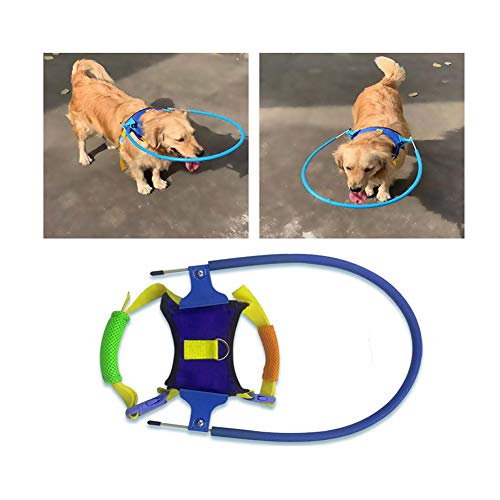 Arnés de halo, seguro para mascotas, para perros ciegos, anillo protector de plástico para perros con ojos enfermos, evita colisiones, anillo de chaleco protector suave