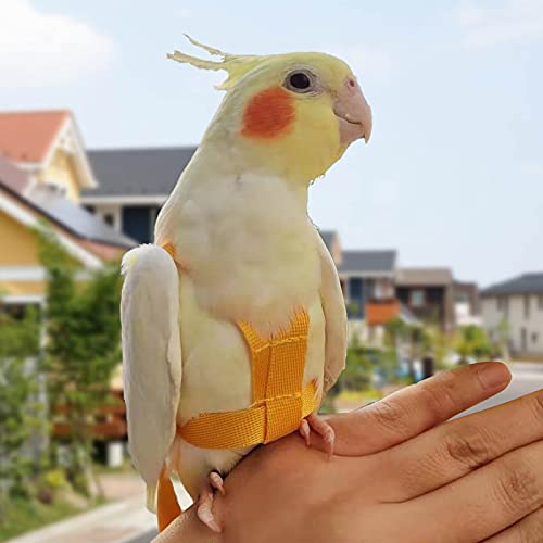 Arnés de loros ajustable para pájaros para mascotas, correa de cuerda de entrenamiento al aire libre, correa elástica antimordedura para pájaros, loros, cacatúas guacamayos (amarillo, S)