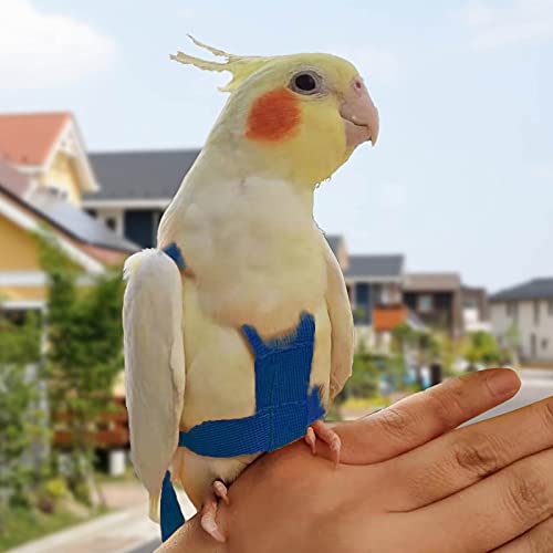 Arnés de loros ajustable para pájaros para mascotas, correa de cuerda de entrenamiento al aire libre, correa elástica antimordedura para pájaros, loros, cacatúas guacamayos (azul, L)