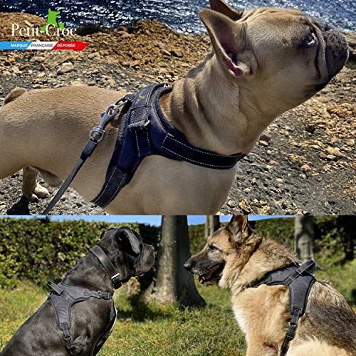 Arnés de perro con paso, bolsa y cinturón de seguridad para el coche, reflectante para perros grandes, cachorros, perro y perro, color negro duradero y resistente canicross grande talla L