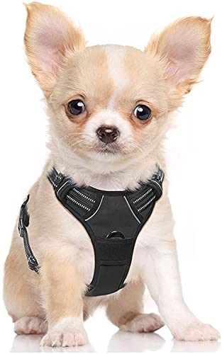 Arnés de perro de lujo sin tirar, acolchado, ajustable, con asa frontal, arnés de clip para perros grandes, entrenamiento, caminar, duradero, no se asfixia, no reflexivo, sin tirar con 2 asas (BLK S)