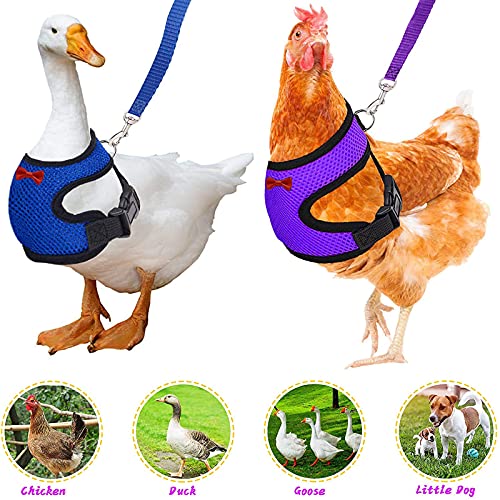 Arnés De Pollo, 2 Pcs Arnés de Pollo Ajustable con Correa y Cinturón a Juego, Arnés de Mascota Pequeña para Pato, Ganso, Gallina, Andar (Morado + Azul)