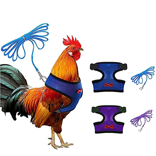 Arnés De Pollo, 2 Pcs Arnés de Pollo Ajustable con Correa y Cinturón a Juego, Arnés de Mascota Pequeña para Pato, Ganso, Gallina, Andar (Morado + Azul)