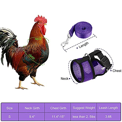 Arnés De Pollo, 2 Pcs Arnés de Pollo Ajustable con Correa y Cinturón a Juego, Arnés de Mascota Pequeña para Pato, Ganso, Gallina, Andar (Morado + Azul)