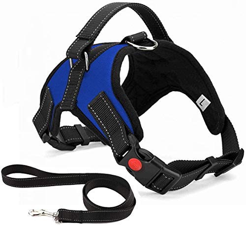 Arnés para perro de lujo, sin tirar, transpirable y ajustable, incluye plomo, para perros pequeños, medianos y grandes, ideal para entrenar a caminar (XS NEGRO) (azul, XS)