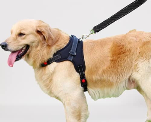 Arnés para perro de lujo, transpirable, ajustable, sin plomo, para perros pequeños, medianos y grandes, ideal para entrenamiento de caminata (negro L)