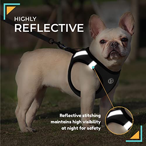 Arnes para Perro Pequeño - Chaleco Antitirones Reflectante, Ajustable y Transpirable - Malla Comoda y Suave para Cachorros - Adaptado para Coche (M, Negro)