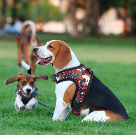 Arnés para Perros Cómodo Transpirable Ajustable-Chaleco Acolchado Reflectante-Arnés para Perros Grandes Medianos Pequeño-Lineas Reflectantes-Arnés Pecho Perro Duradero con Chaleco Acolchado Ajustable