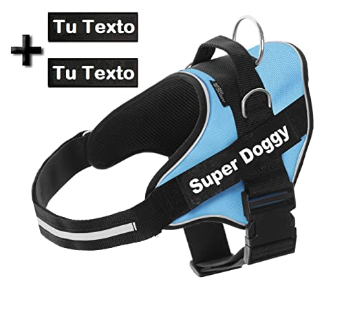 Arnes Personalizado para Perros Reflectante - Incluye 2 Etiquetas con Nombre - Tamaño Pequeño, Mediano y Grande - De Calidad y Resistente (S 6-14KG, Azul Claro)