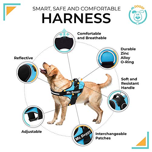 Arnes Personalizado para Perros Reflectante - Incluye 2 Etiquetas con Nombre - Tamaño Pequeño, Mediano y Grande - De Calidad y Resistente (S 6-14KG, Azul Claro)