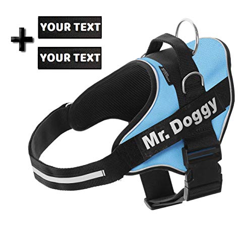 Arnés Personalizado para Perros - Reflectante - Incluye 2 Etiquetas con Nombre - Todos los Tamaños - De Calidad y Resistente (S 7,5-15KG, Azul Claro)