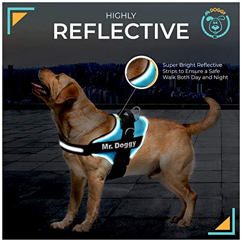 Arnés Personalizado para Perros - Reflectante - Incluye 2 Etiquetas con Nombre - Todos los Tamaños - De Calidad y Resistente (S 7,5-15KG, Azul Claro)