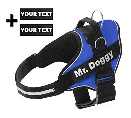 Arnés Personalizado para Perros - Reflectante - Incluye 2 Etiquetas con Nombre - Todos los Tamaños - De Calidad y Resistente (XS 3-7,5KG, Azul)