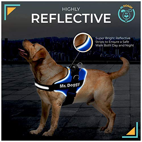 Arnés Personalizado para Perros - Reflectante - Incluye 2 Etiquetas con Nombre - Todos los Tamaños - De Calidad y Resistente (XS 3-7,5KG, Azul)