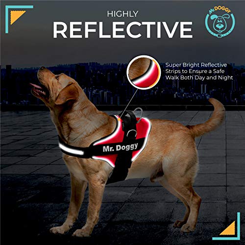 Arnés Personalizado para Perros - Reflectante - Incluye 2 Etiquetas con Nombre - Todos los Tamaños - De Calidad y Resistente (XS 3-7,5KG, Rojo)