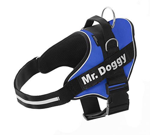 Arnés Personalizado para Perros - Reflectante - Incluye 2 Etiquetas con Nombre - Todos los Tamaños - De Calidad y Resistente (XXS 1,5-3,5KG, Azul)