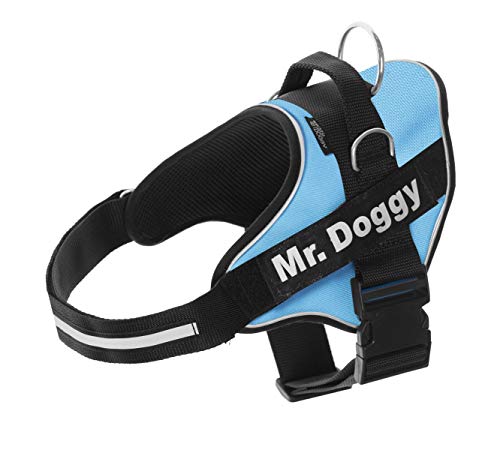 Arnés Personalizado para Perros - Reflectante - Incluye 2 Etiquetas con Nombre - Todos los Tamaños - De Calidad y Resistente (XXS 1,5-3,5KG, Azul Claro)