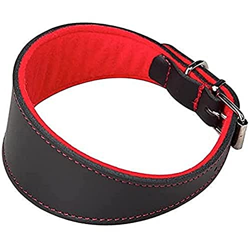 Arppe 2154013501 Collar Galgo o Cuero Superfelt, Negro y Rojo